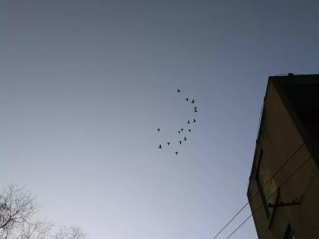 这条老街不仅市井味十足还很文艺,淮州新城古镇