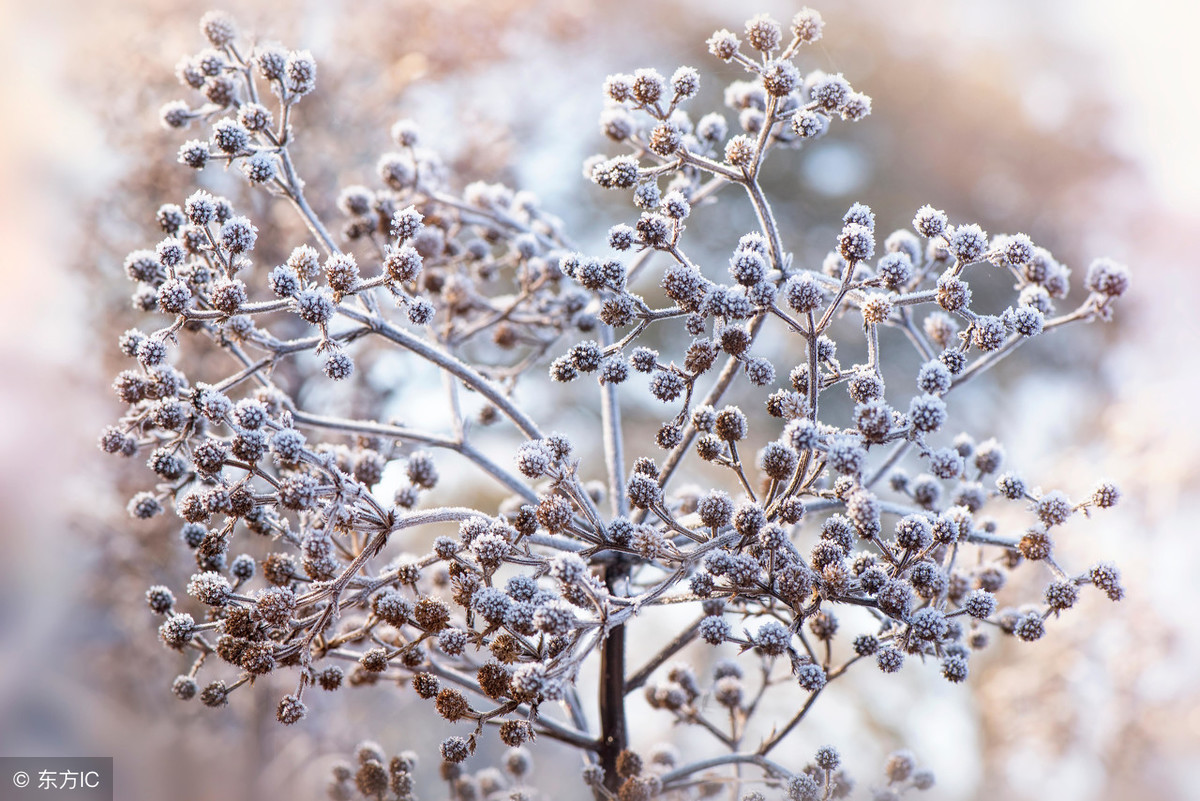 成语接龙大全值得收藏,史上最全最好玩的成语接龙