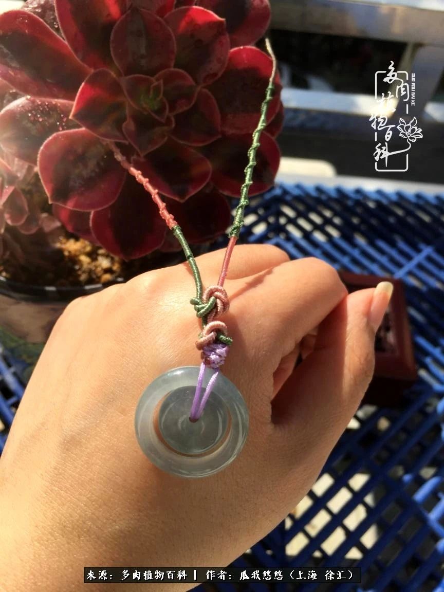 享受岁月,享受岁月静好歌曲原唱