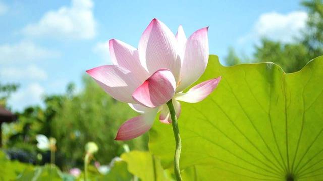 教你看穿人心的文章,看穿人性的十个秘诀