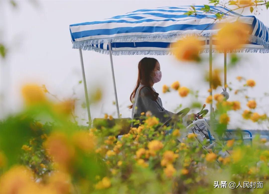 太湖骑行步道,无锡太湖骑行绿道