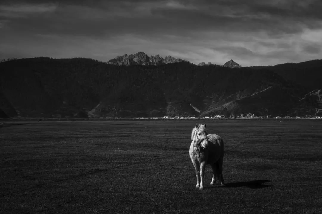 色彩调色技巧与方法,调色没有思路怎么办