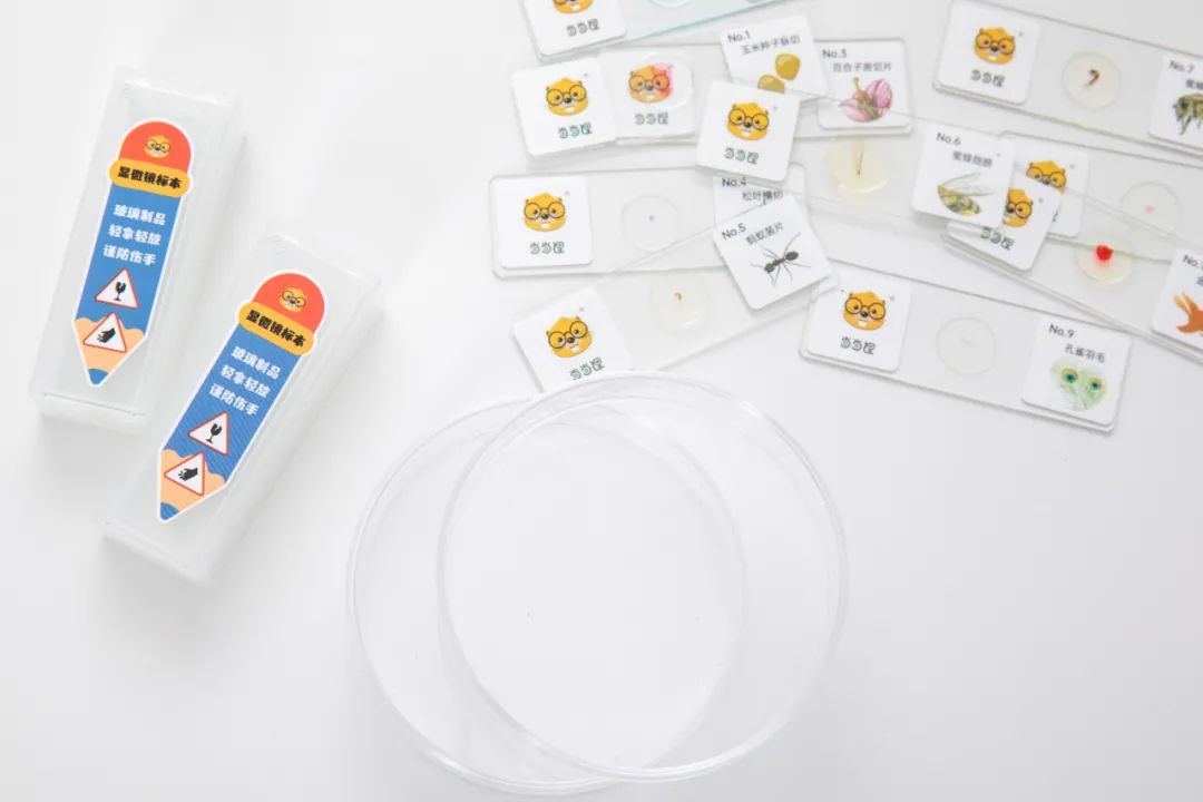 暑假孩子玩手机不如打篮球吧,儿童显微镜放大蚂蚁120倍