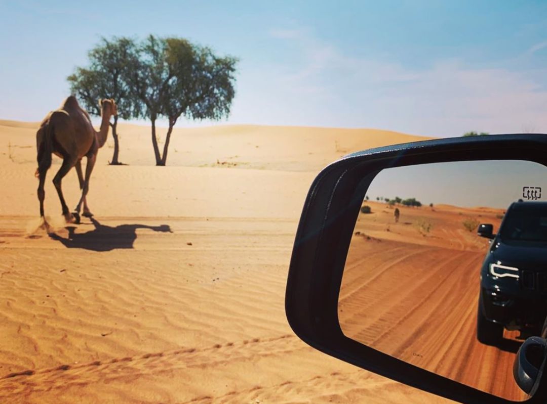 3小时玩转迪拜老城区,迪拜七天旅游攻略