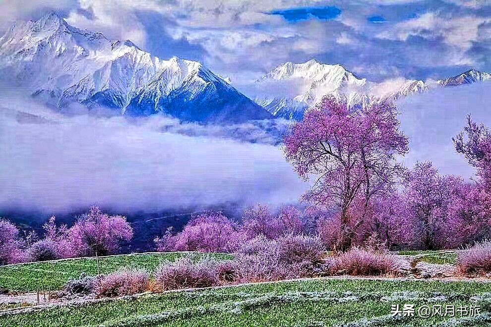 成都出发林芝旅游攻略图,金川梨花节自驾游五日线路图