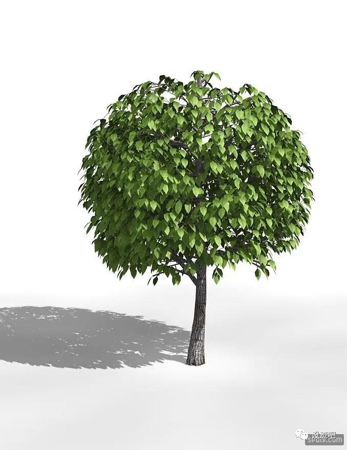 3dmax常用插件合集,3dmax插件大全列表