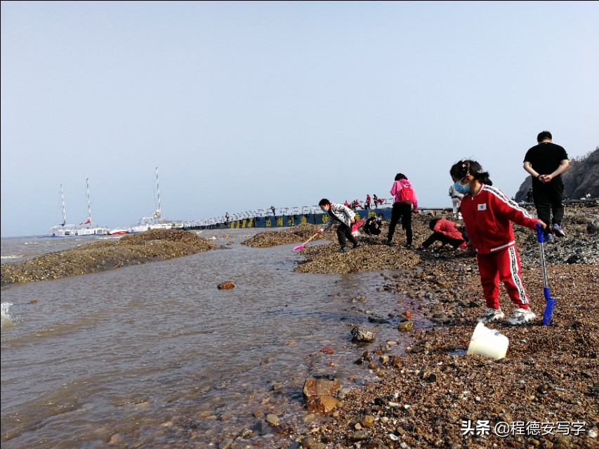 兴城古城一日游作文300字怎么写,兴城古城一日游价格