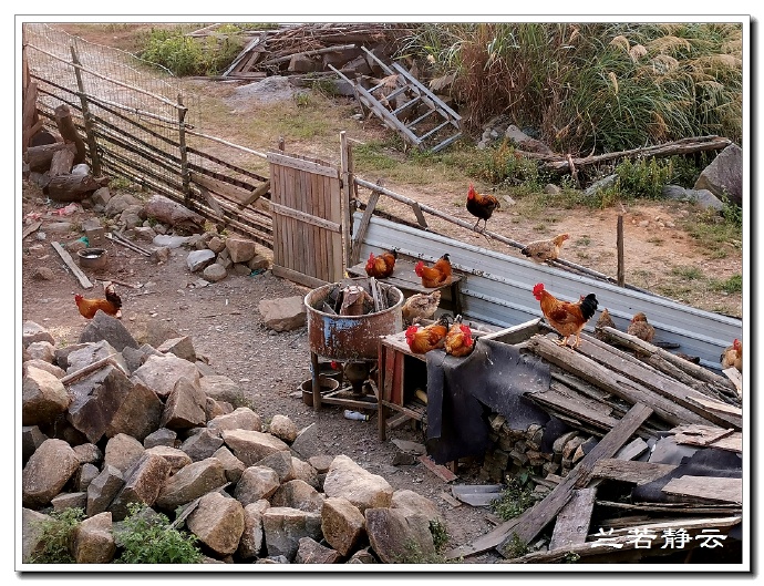福建永泰云顶山风景图片,福州永泰云顶风景如画成避暑胜地