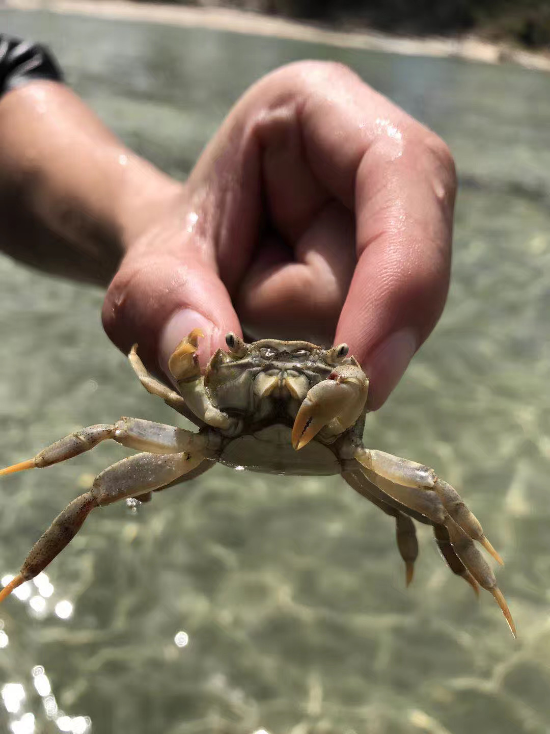 国外澳大利亚生活日常,海外生活澳洲