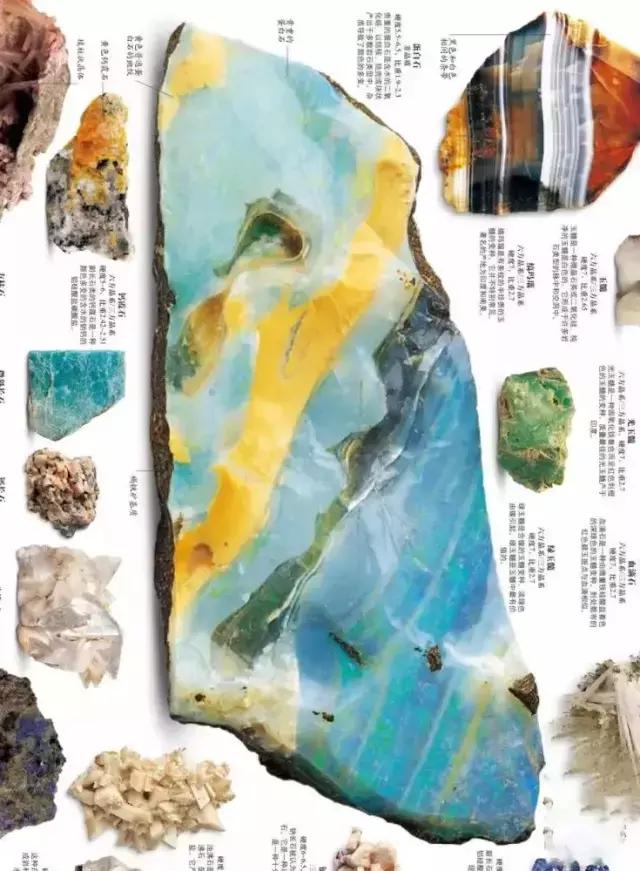 大人和孩子都不可错过的绘本,值得孩子看的4本经典绘本