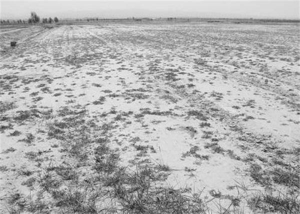 创世之沙严重不足，有什么解决途径？