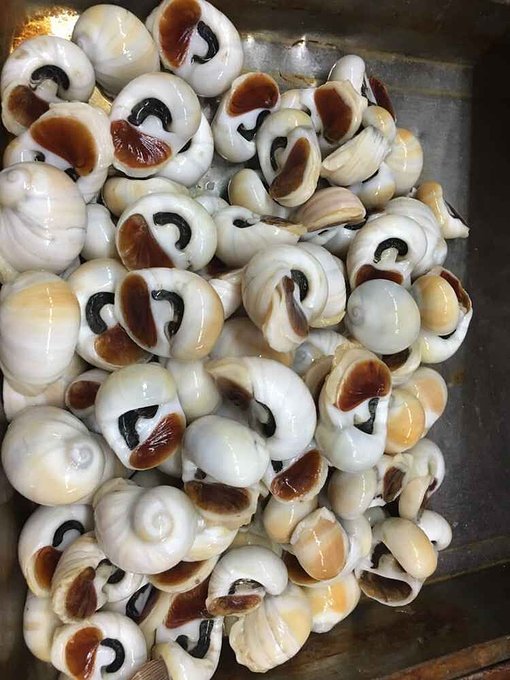 给自己一个度假的理由海南三亚,三亚度假的天堂