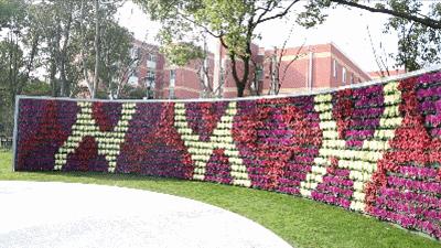 上海最大的绿地在哪里,上海人家万科广场