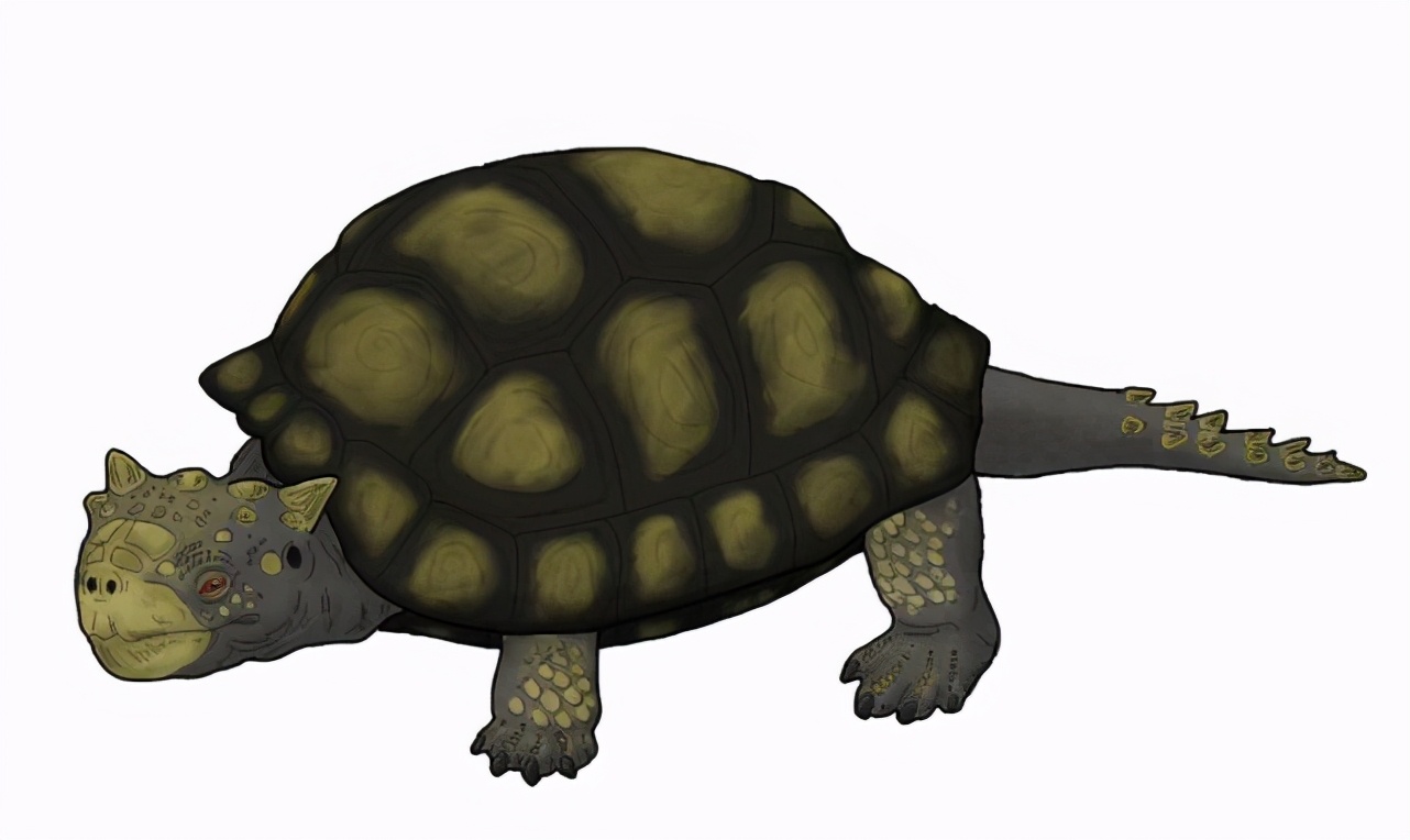 神兽玄武被吃光,人类300年