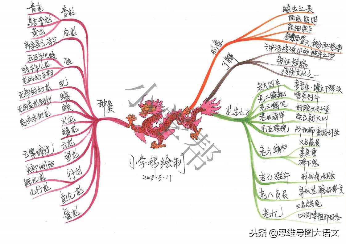 思维导图十二生肖文化知识,十二生肖思维导图并标上动物单词