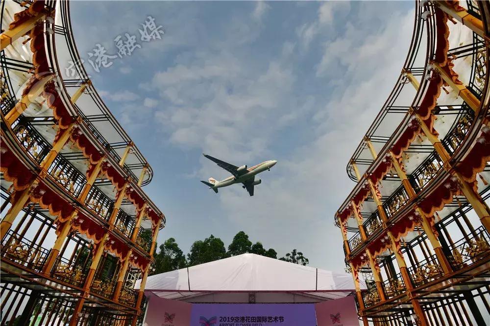 来成都打卡空港花田,成都双流空港花田打卡看飞机