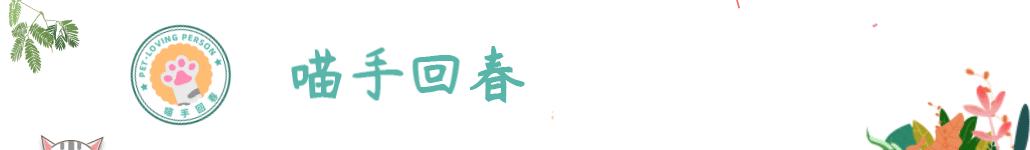 金毛犬摆地摊卖菜,金毛摆摊卖零食