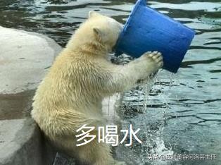 唇部干裂护理方法,嘴唇干裂起皮护唇推荐