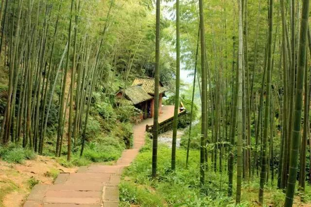 我变成了一颗石头作文三年级,三年级第5课的作文300字