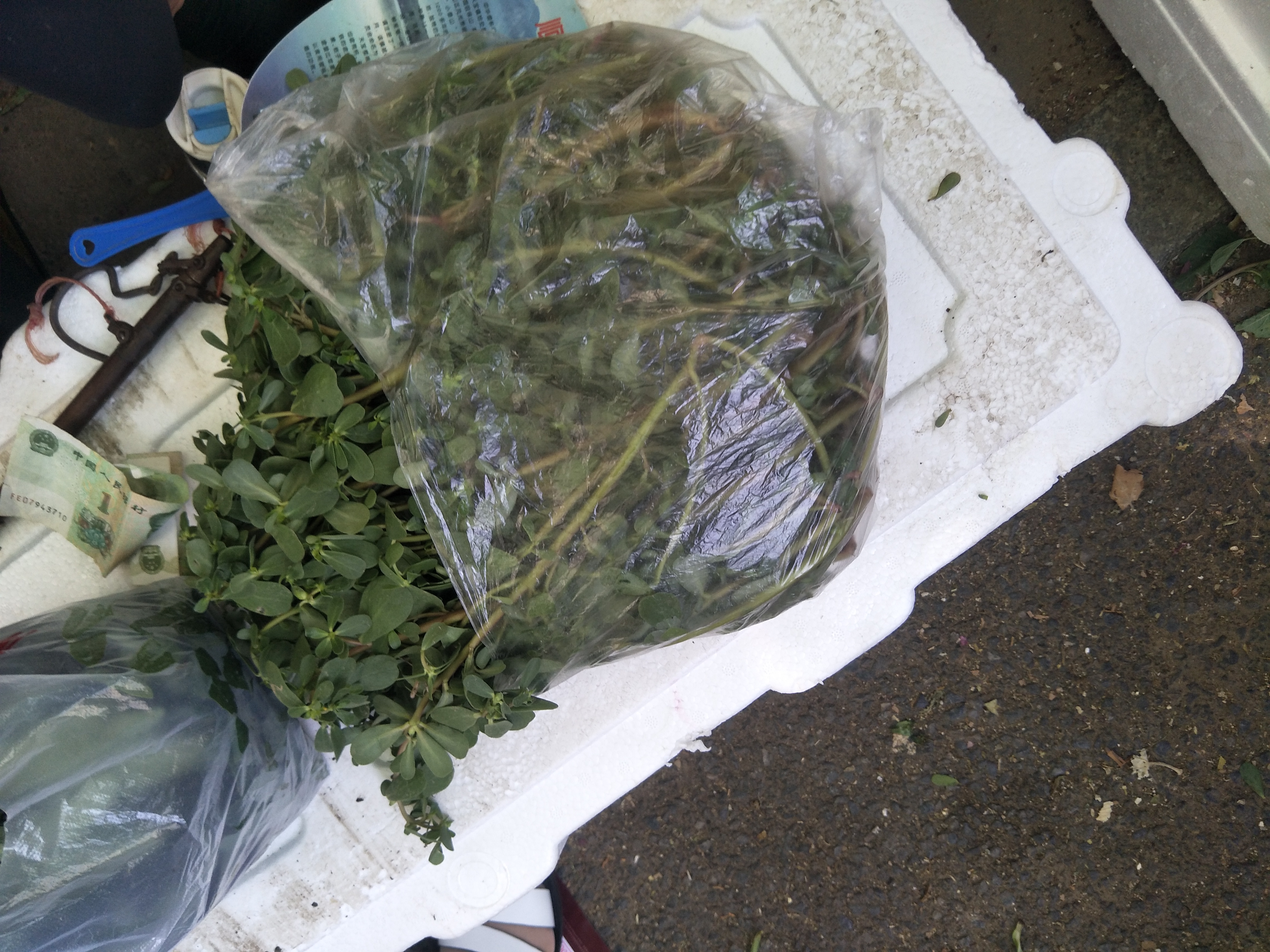 7旬老人卖野菜2元一斤,大妈野菜被贩子卖2元