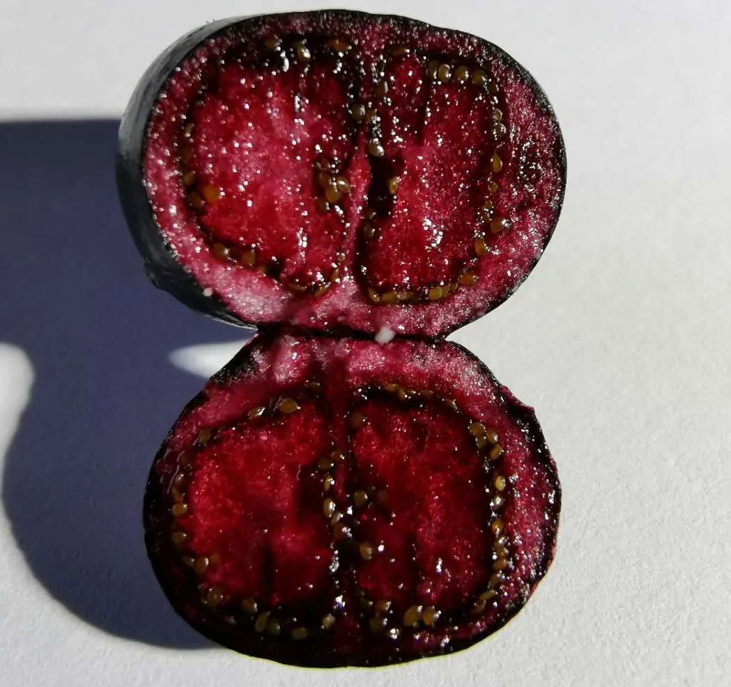 大理特色农业小镇,大理乡村发展现状和发展趋势