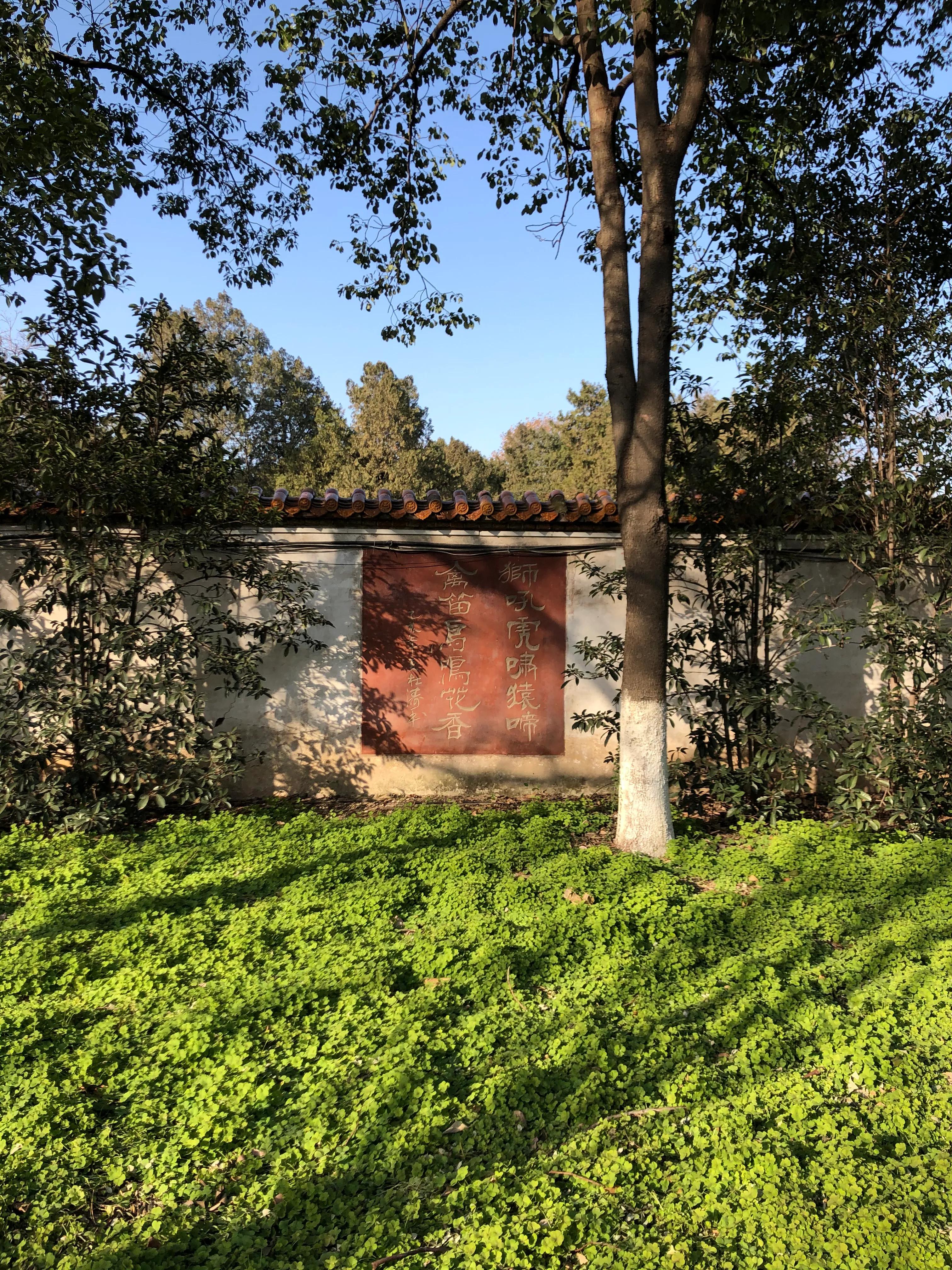 平顶山河滨公园旅游攻略,平顶山森林公园游记