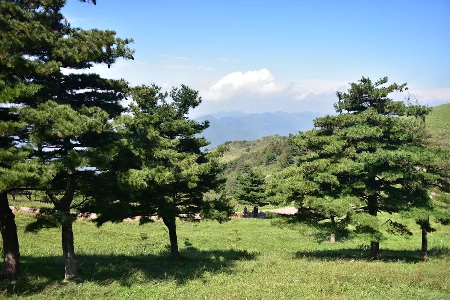 景点山楂树之恋,相约百里荒