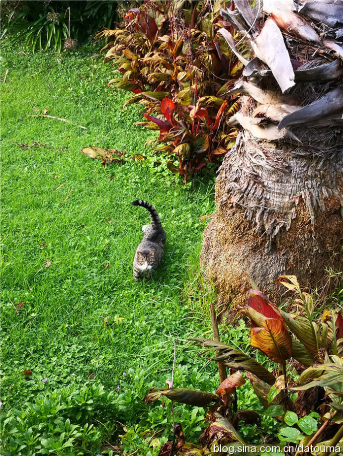 新西兰还有这等福利？