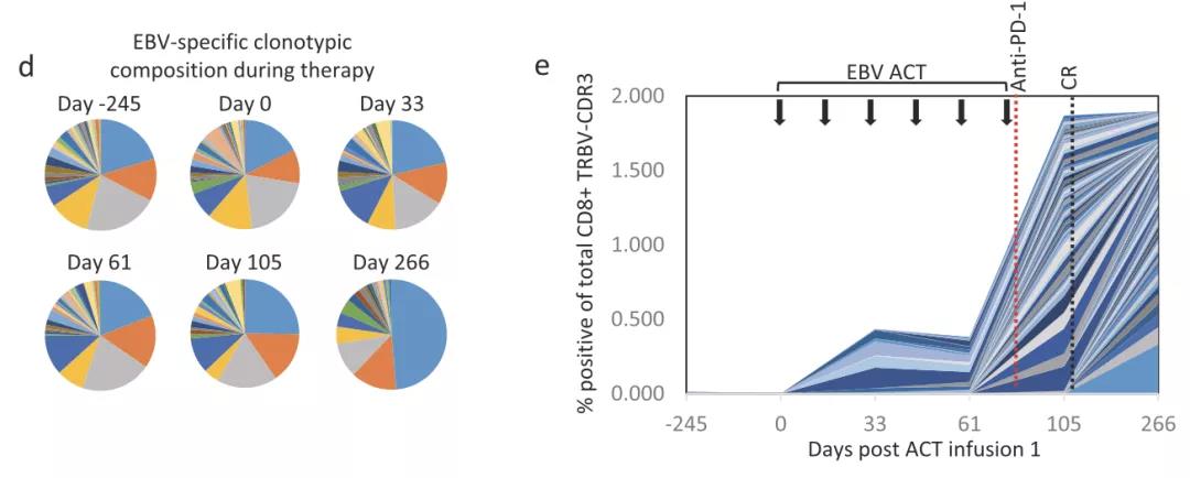 鼻咽癌晚期怎么治疗效果好,鼻咽癌晚期最新疗法