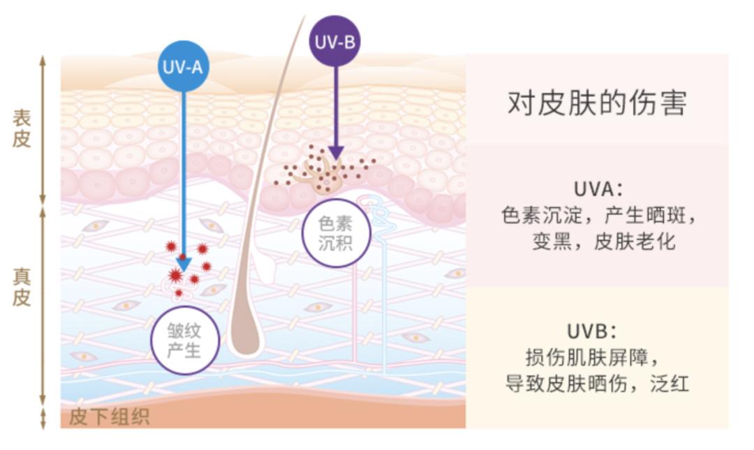 一年四季用的平价防晒推荐,给大家推荐一款超好用的防晒