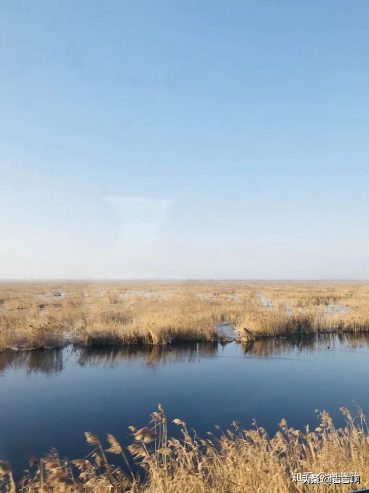 在东北吃饭是一种什么体验,跟东北人吃饭是什么体验