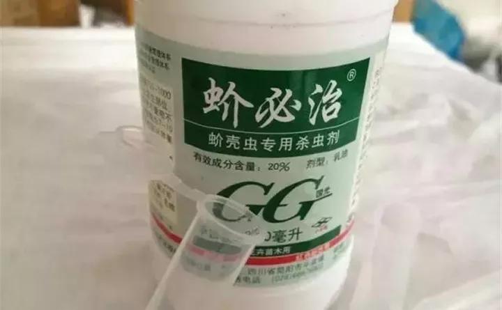 养花的虫害分类及防治,养花如何预防虫害视频教程