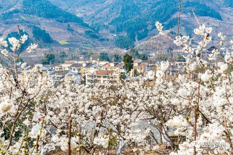 成都春游好去处周末 (成都周边周末春游推荐)