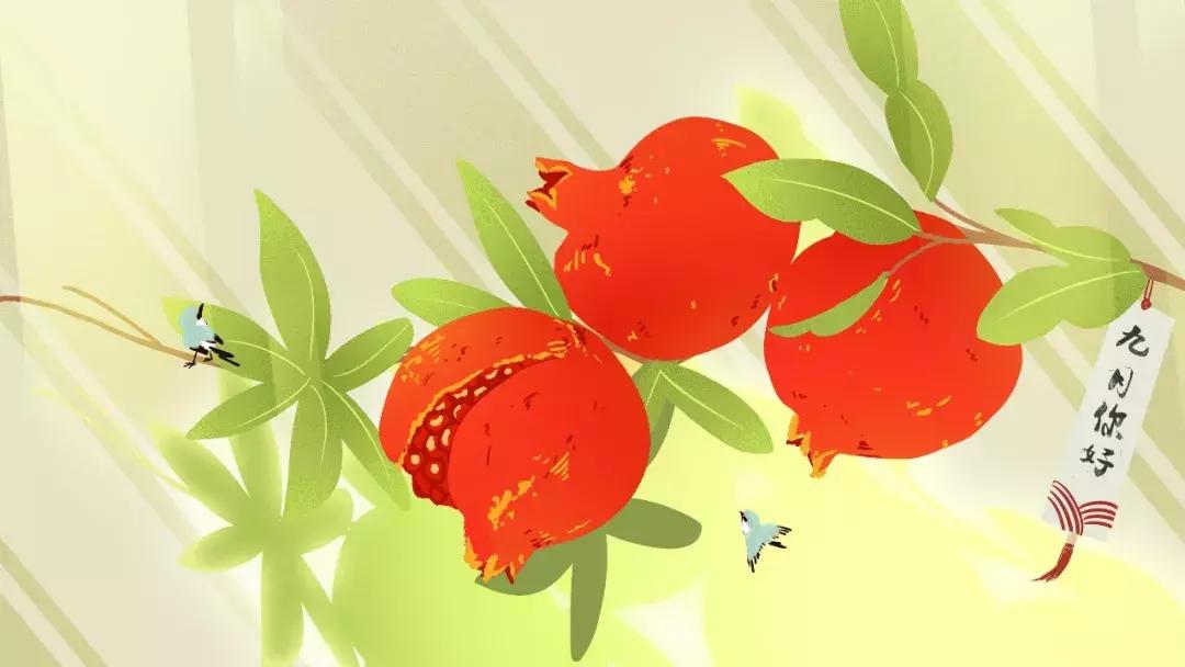 小学语文常见修辞手法句子,小学语文修辞手法作用及例句分享