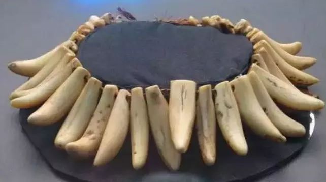 “牙中第一润”，到底是不是违法？