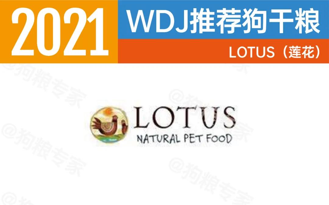 wdj2022鐙楃伯鎺ㄨ崘,wdj杩涘彛鐙楃伯