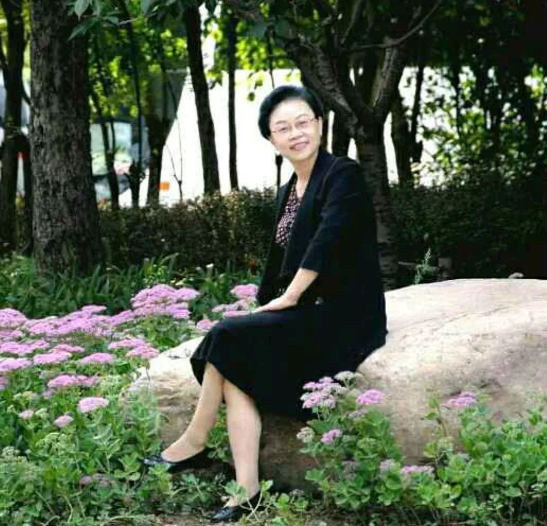 南飞雁古筝原唱,南飞雁答友人