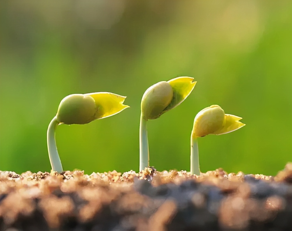 抓住这3点让宝宝身高超常发挥,宝宝睡觉2个动作说明在长高