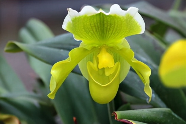 大叔种5亩麦子卖了多少钱,大叔种菜一年5000万