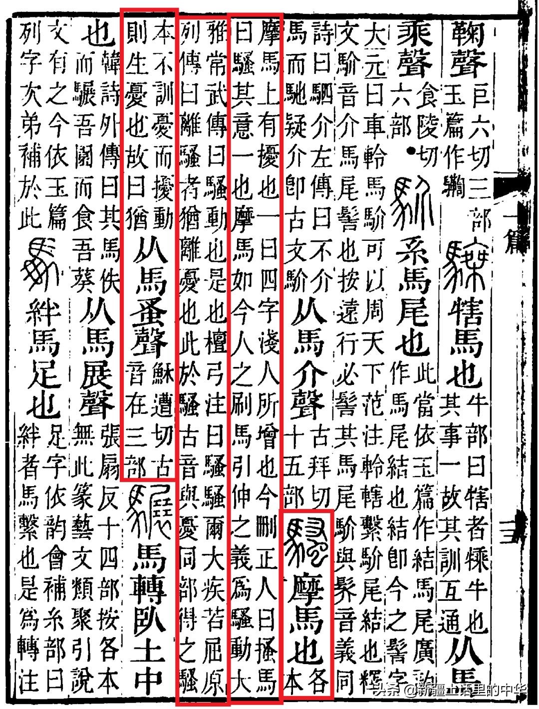 羊肉有骚臭味,羊肉发骚咋回事