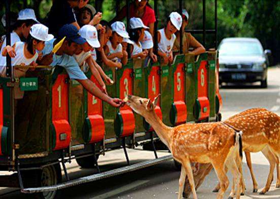 先去广州长隆再去珠海长隆攻略,带小朋友来珠海长隆两天一晚攻略
