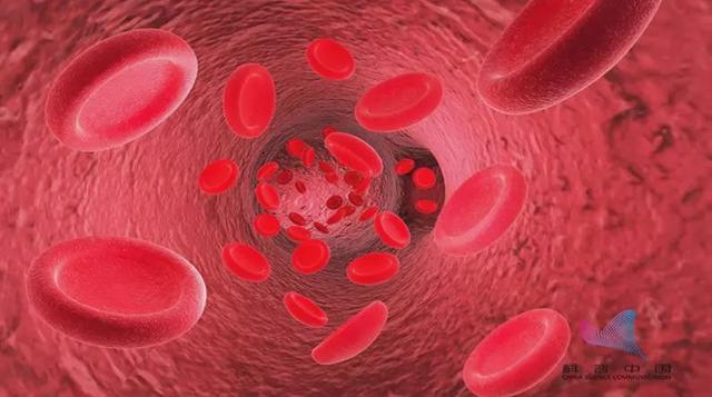 千万别信!关于血液的这些说法太害人!第一个就信了几十年…