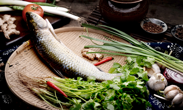 莱阳特产小礼品,莱阳特产专卖店在哪里