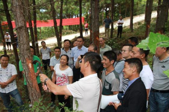 鑼傛簮鏋椾笟鏈夐檺璐ｄ换鍏徃,鑼傛簮鏋椾笟鏈夐檺鍏徃