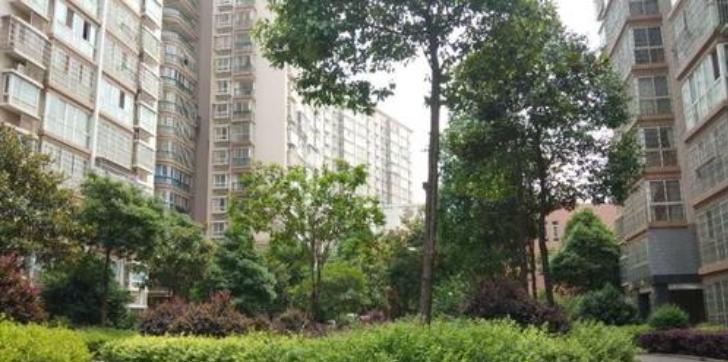 南部融城规划图,南部融城楼盘