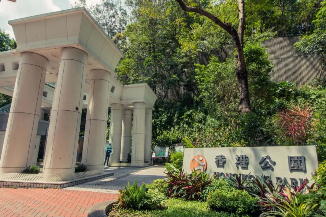 寸土寸金香港,寸土寸金的香港