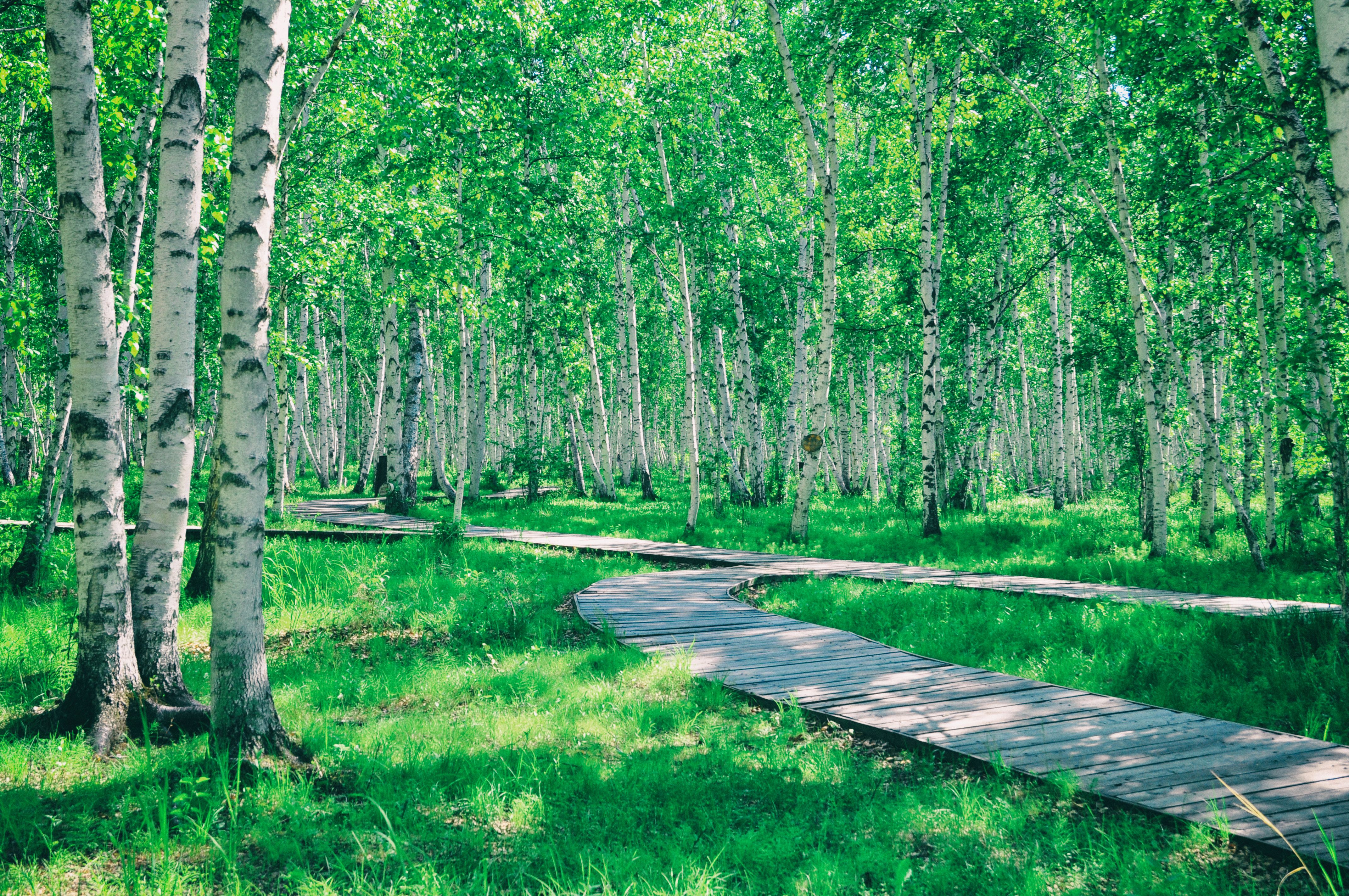 南方人自驾来东北是啥体验,15天一万公里的新疆感受