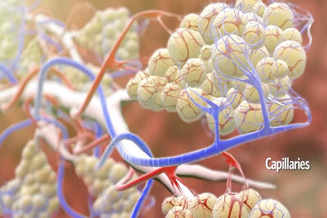 如何通过呼吸锻炼心肺,运动正确的呼吸模式