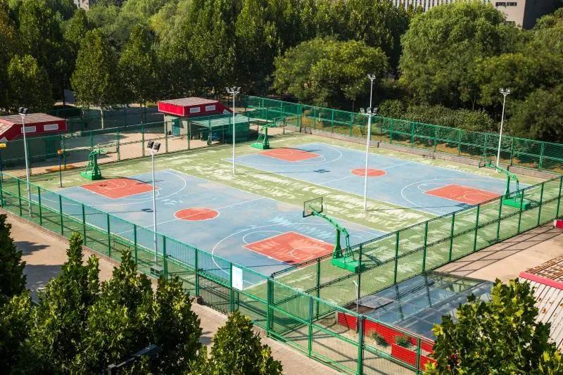 专业解读|体育教育、运动康复、运动训练、武术与民族传统体育