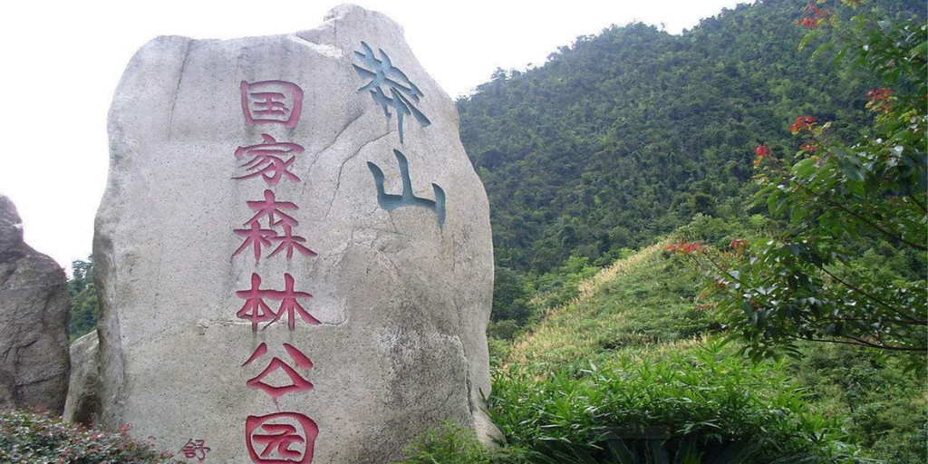 1996年莽山烙铁头蛇,莽山烙铁头被盗事件